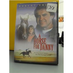 Used A Horse for Danny