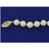 Image 2 : Vintage Pearl Necklace