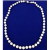 Image 1 : Vintage Graduated Natural Akoya Pearl Necklace with 18k White Gold Clasp