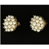 Image 2 : Akoya Natural Pearl Cluster Earrings in 14k Gold