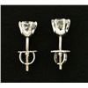 Image 2 : 1ct TW Diamond Stud Earrings