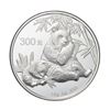 Image 1 : 2007 China 300 Yuan 1kg kilo Silver Panda