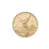 Image 2 : 2008 Mexico 1/20, 1/10, 1/4, 1/2, 1oz Gold Libertad Set