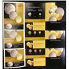 Image 2 : RCM Salesman's Samples 1999-2000 - Lot of 8