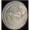 Image 2 : Roman Republic M. Albinus Bruti f, Denarius, c48 BC