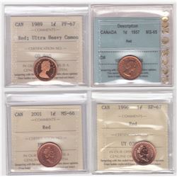 Canada One Cents Lot of 8 Coins