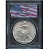 Image 1 : 2001 USA Silver Eagles - WTC Ground Zero