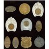 Image 1 : Lot of Ten 1901 Buffalo Pan Am Exposition Items.