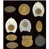 Image 2 : Lot of Ten 1901 Buffalo Pan Am Exposition Items.