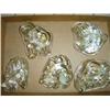 Image 1 : Glass Dinasour Paperweights