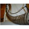 Image 3 : Batak Medicine Carrier