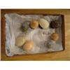 Image 1 : Stone Sphere/ Egg Collection