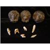 Image 1 : Round Animals & African Soapstone 