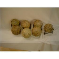 Set of Decorative Rosette Spheres