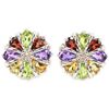 Image 1 : Natural Multi Gemstone EarRing