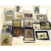 Image 1 : US Horse Portrait Collection (19)