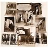 Image 1 : Santa Cruz RPC's including Mystery Spot (11)