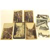 Image 1 : Cabinet Cards & Postcards of Cripple Creek & Denver
