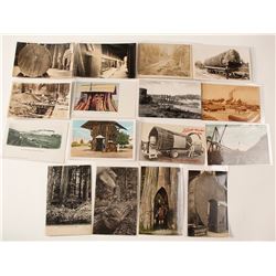 Washington State Lumber Postcards