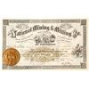 Image 1 : National Mining & Milling Company of Colorado Stock Certificate