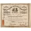 Image 1 : Delaware Mining Co. of Michigan Stock Certificate, 1865