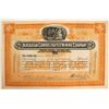 Image 1 : Arcadian Consolidated Mining Co. Stock Certificate