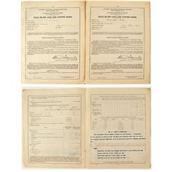 2 Butte Annual Mine Reports