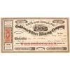 Image 1 : Rare White Cloud Mining District Stock Certificate, 1872