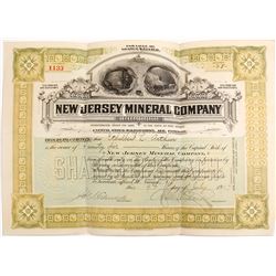 New Jersey Mineral Company Stock Certificate