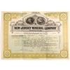 Image 1 : New Jersey Mineral Company Stock Certificate