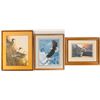 Image 1 : Birds! Birds! Birds! Artworks