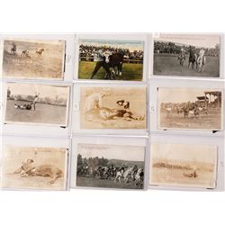 Pendleton, OR Rodeo Photos (9)