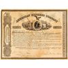 Image 1 : American Express Company Stock Certificate to Johnston Livingston
