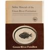 Image 1 : Green River Wyoming Fossil and Mineral Booklets (2)