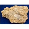 Image 1 : Fossil Rock