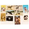 Image 1 : Dogsled Dogs Postcards with RPC (10)