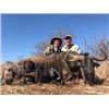 Image 2 : 6-day South Africa (Limpopo Valley) Plains Game Hunt with 4 Trophies for One Hunter