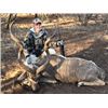 Image 6 : 6-day South Africa (Limpopo Valley) Plains Game Hunt with 4 Trophies for One Hunter