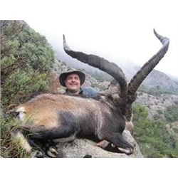 5-day Spanish Big Game Hunt for 1 Hunter and 1 Observer