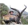 Image 1 : 5-day Spanish Big Game Hunt for 1 Hunter and 1 Observer