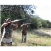 Image 3 : 2-day Argentina Dove Hunt for 4 Hunters