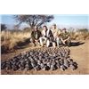 Image 4 : 2-day Argentina Dove Hunt for 4 Hunters