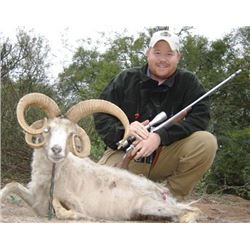 7-day Argentina Ram and Boar Hunt for 2 Hunters