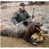 Image 2 : 7-day Argentina Ram and Boar Hunt for 2 Hunters
