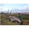 Image 1 : 7-day Eastern Cape, South Africa Kudu, Gemsbuck and Plains Game Hunt for 1 Hunter