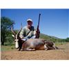 Image 2 : 7-day Eastern Cape, South Africa Kudu, Gemsbuck and Plains Game Hunt for 1 Hunter