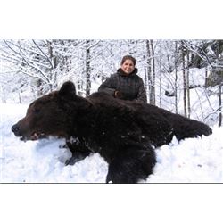 4-Day Croatia Brown Bear Mountain Hunt for 1 Hunter and 1 Observer