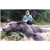 Image 2 : 4-Day Croatia Brown Bear Mountain Hunt for 1 Hunter and 1 Observer