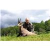 Image 3 : 4 Day Hunting & 2 Day Touring Slovenia Alpine Chamois Hunt for 1 Hunter and 1 Observer