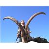 Image 3 : 5-Day Spanish Ronda Ibex Hunt for 1 Hunter and 1 Observer